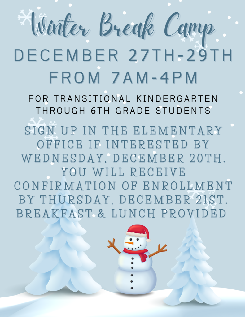 Winter Break Camp Flyer