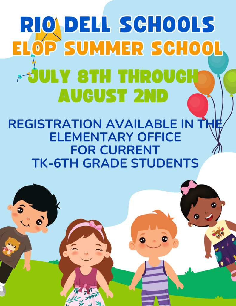 Summer School flyer
