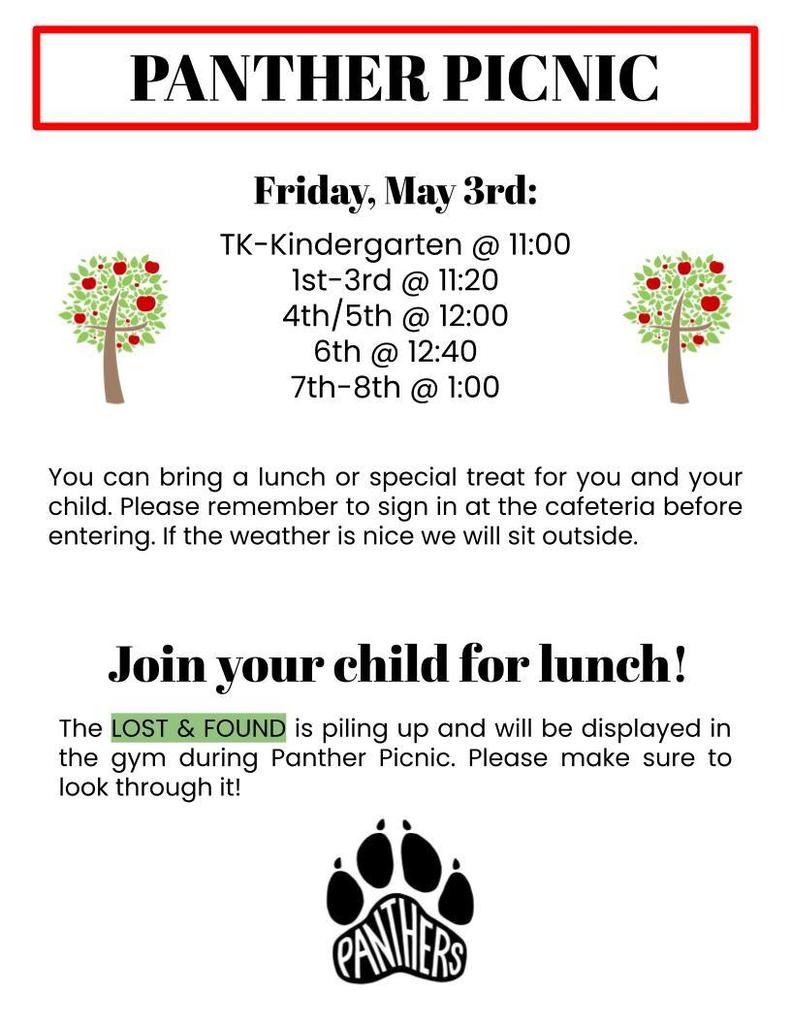 Panther Picnic flyer