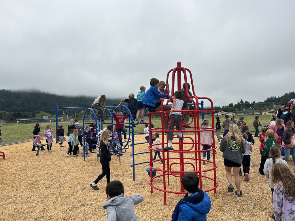 enjoying the playground