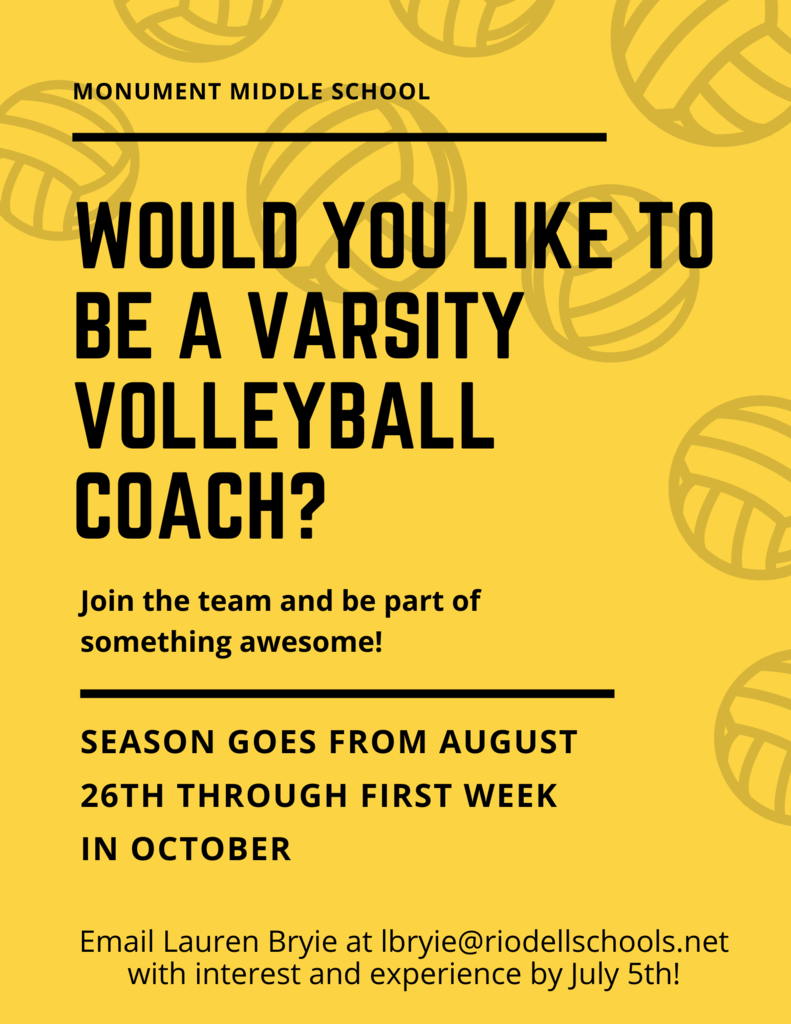 volleyball flyer