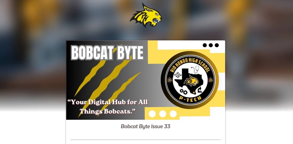 Bobcat Byte 33