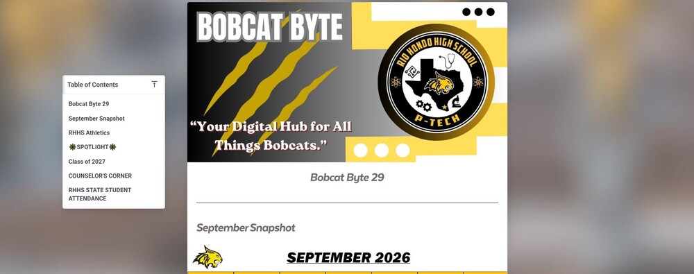 BYTE 29