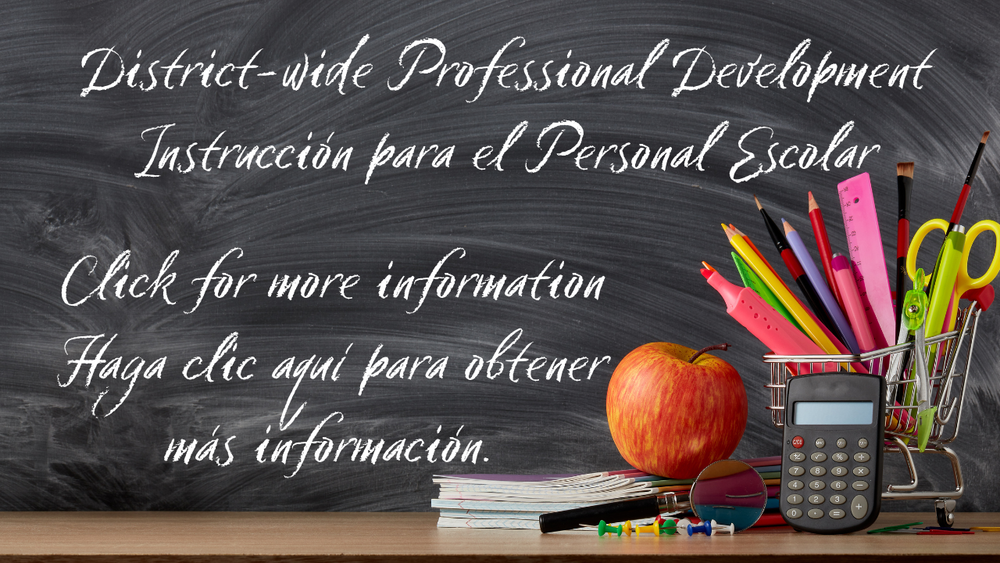 professional development