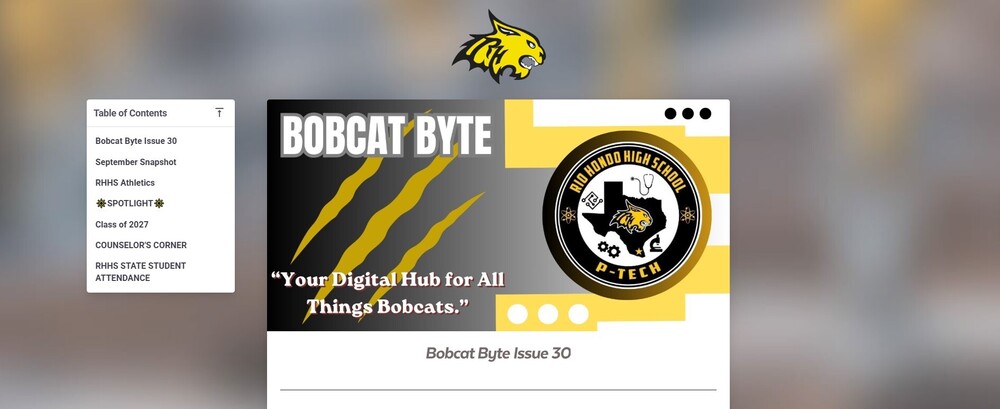 Bobcat BYTE #30