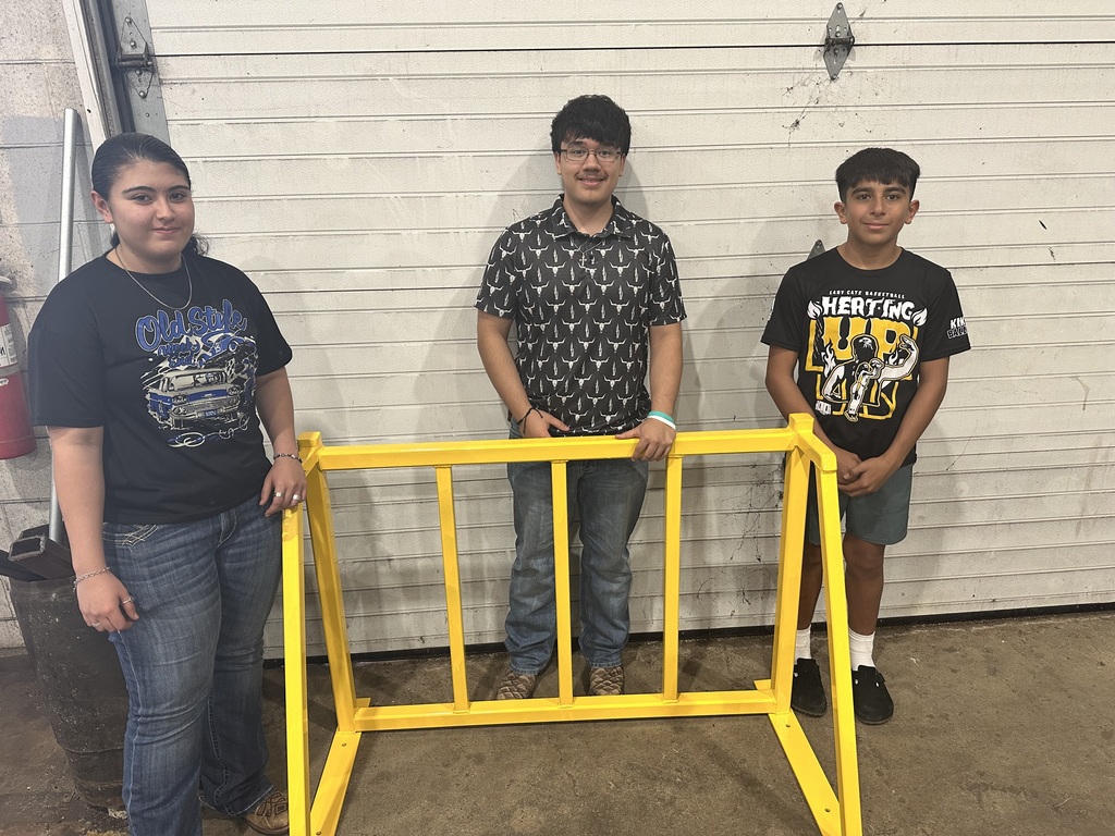 Bike rack