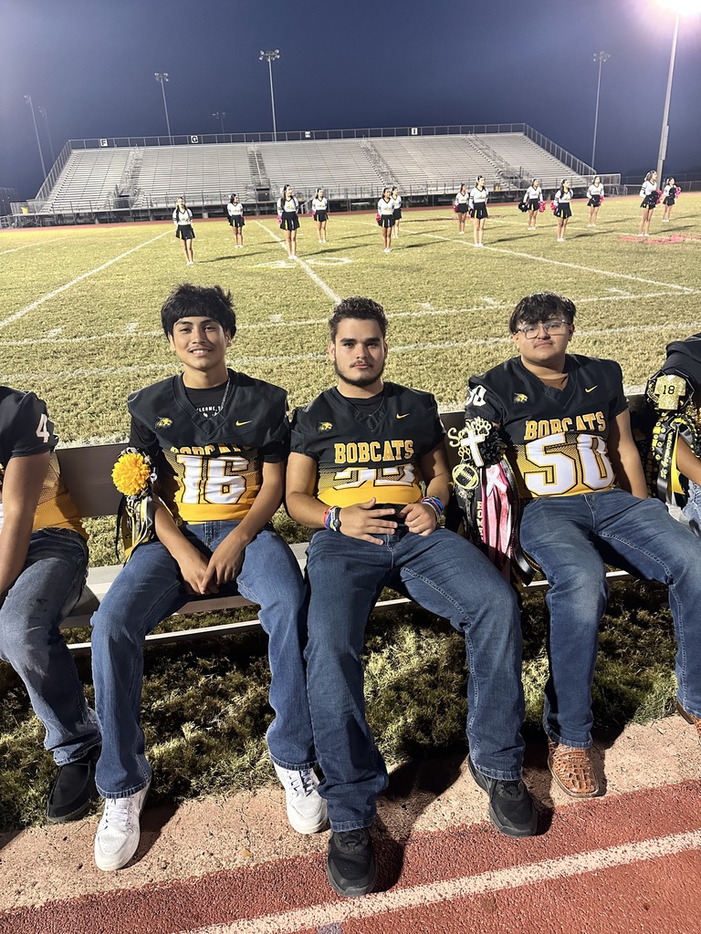 Bobcats