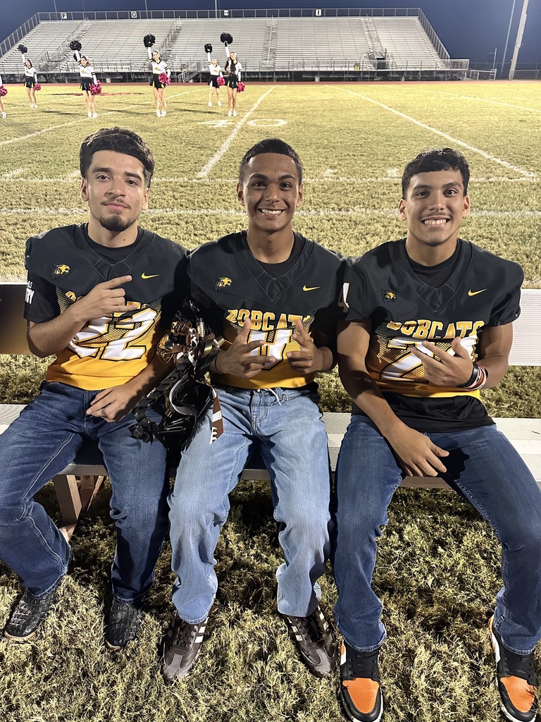 Bobcats