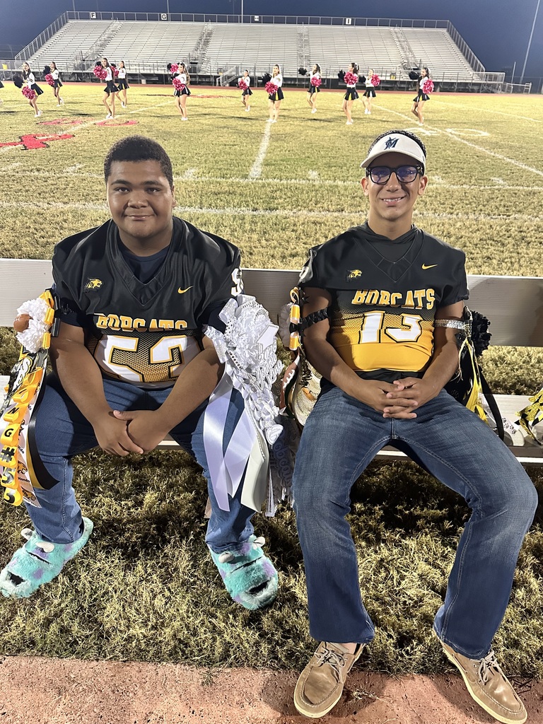 Bobcats