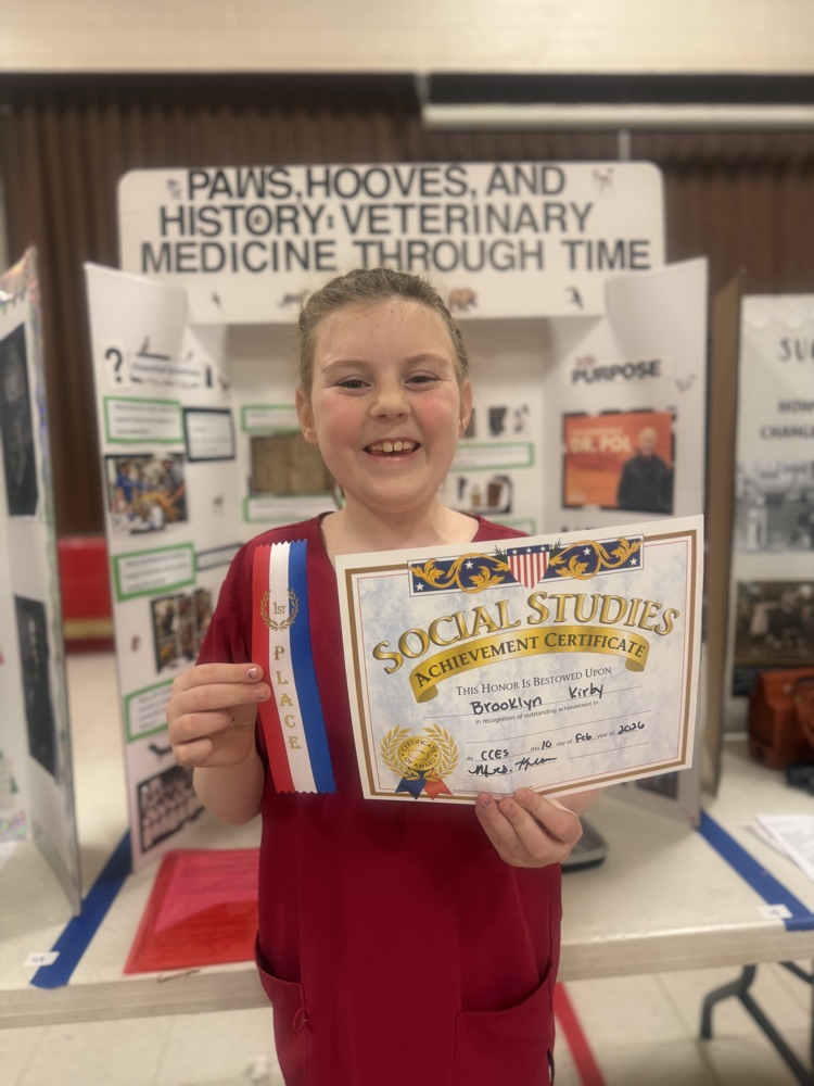 first place social studies fair 