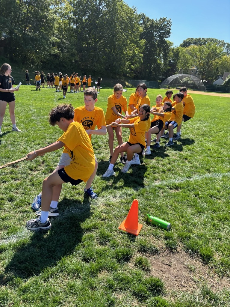 Field Day