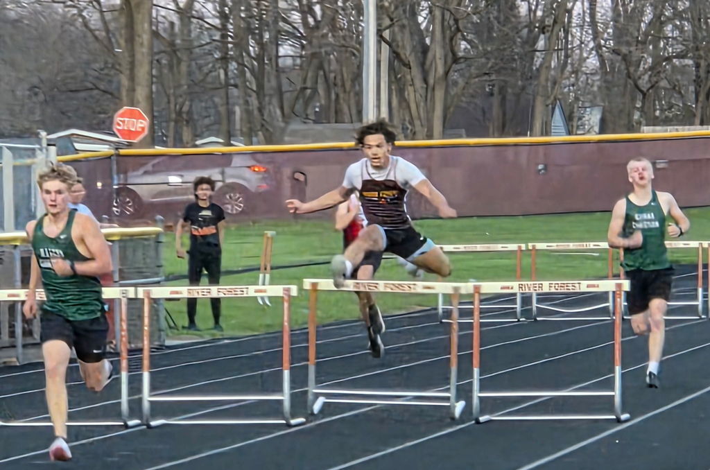 hurdles 2