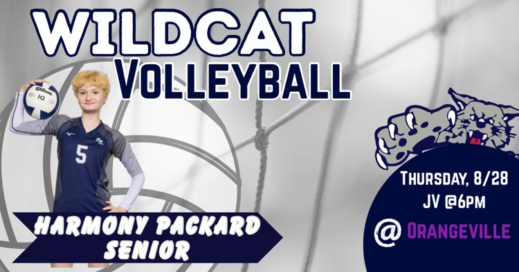 vball