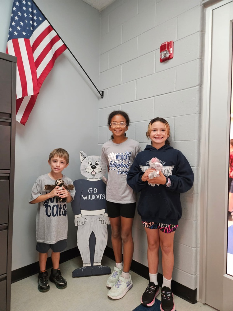 First bus behavior winners