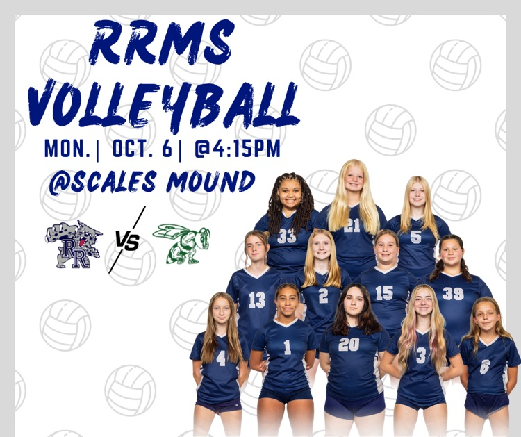 msvb