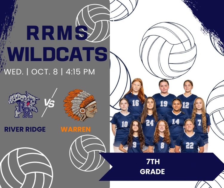 msvb
