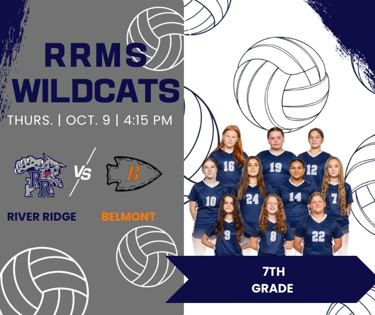 msvb
