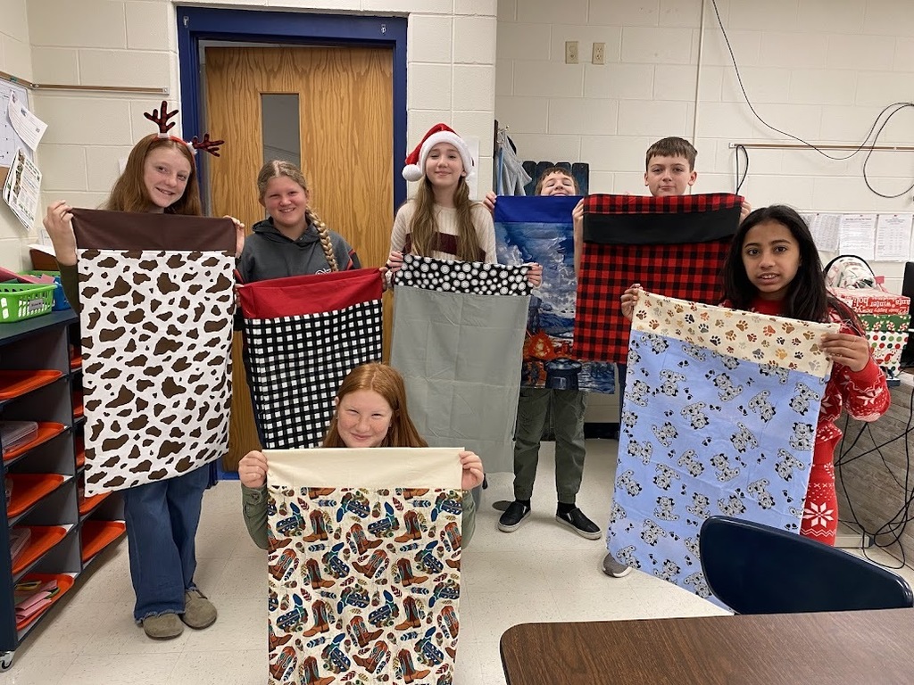 7th Grade Mini Pillow Cases