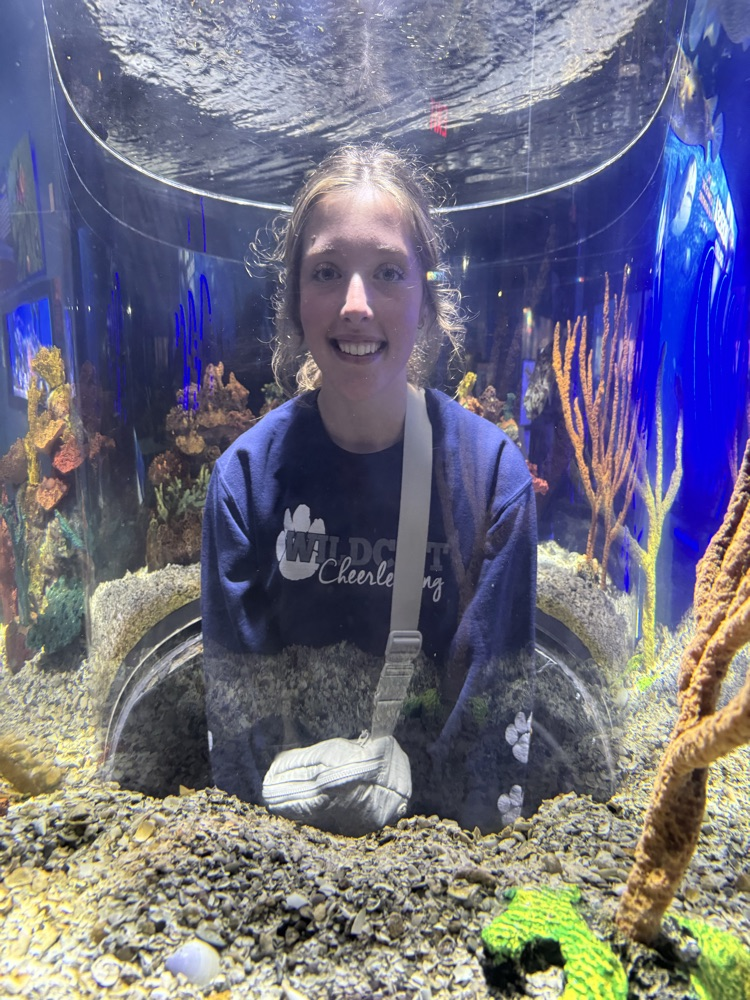 aquarium