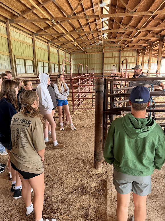 Calving Shed 