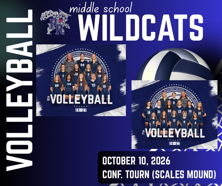 msvball