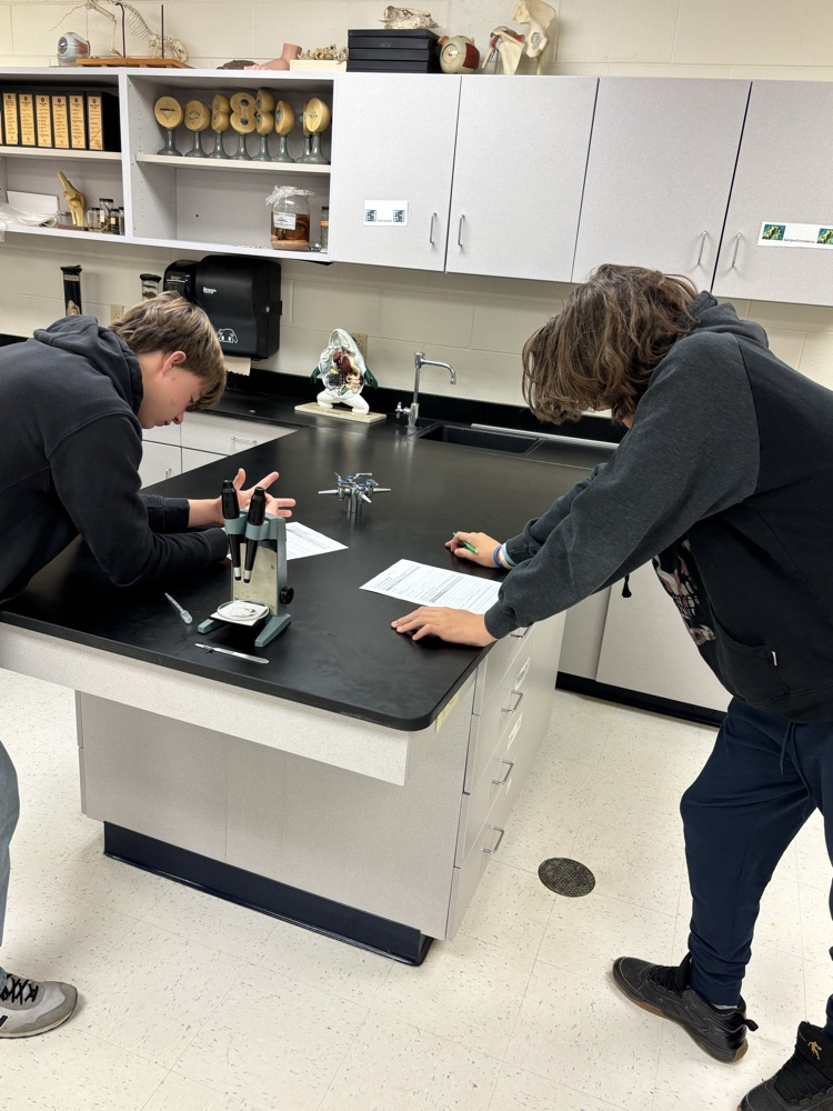 bio