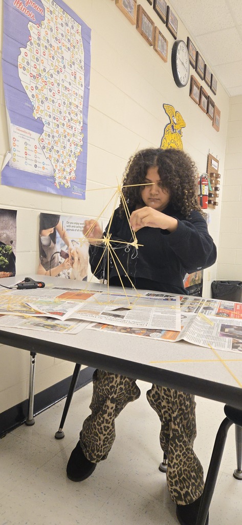 8th Grade STEM