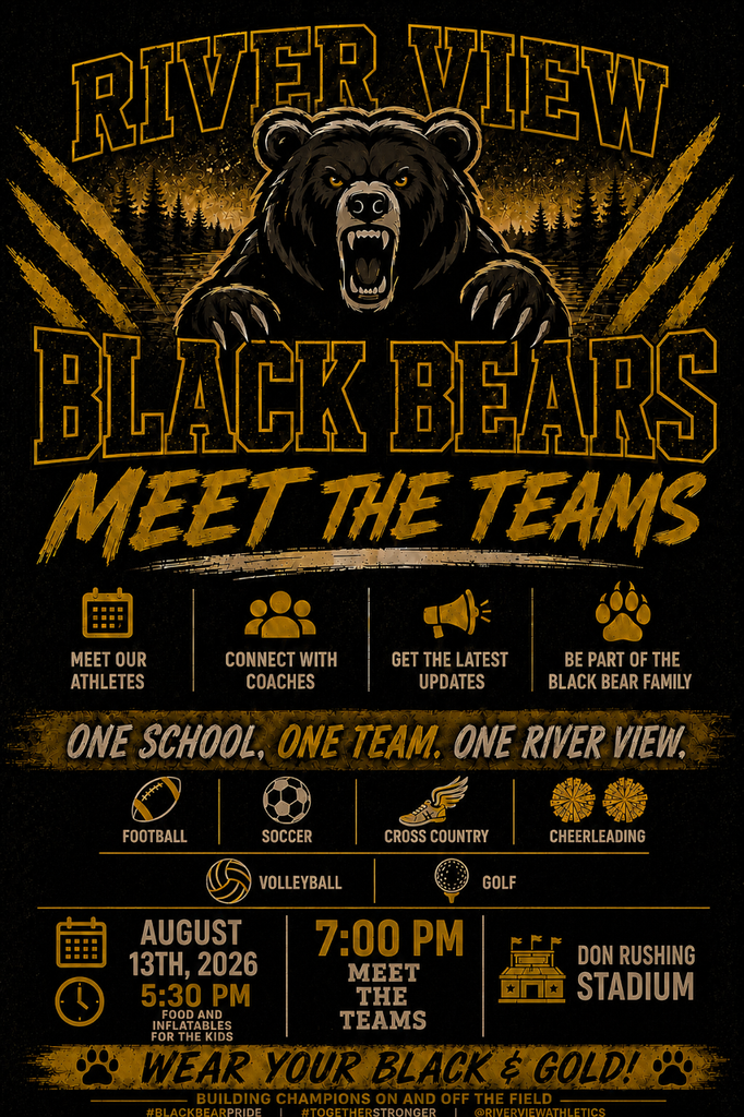 Meet the Team