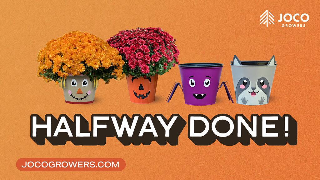 MUM BUDDIES - HALFWAY DONE