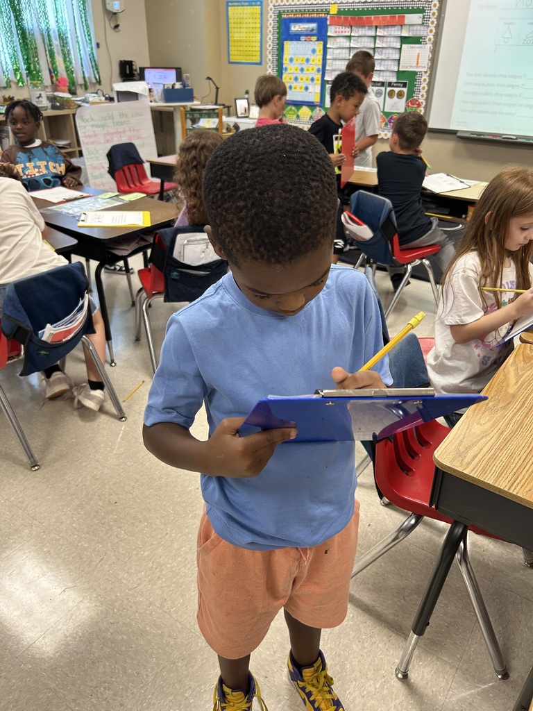 surveys in 2nd grade