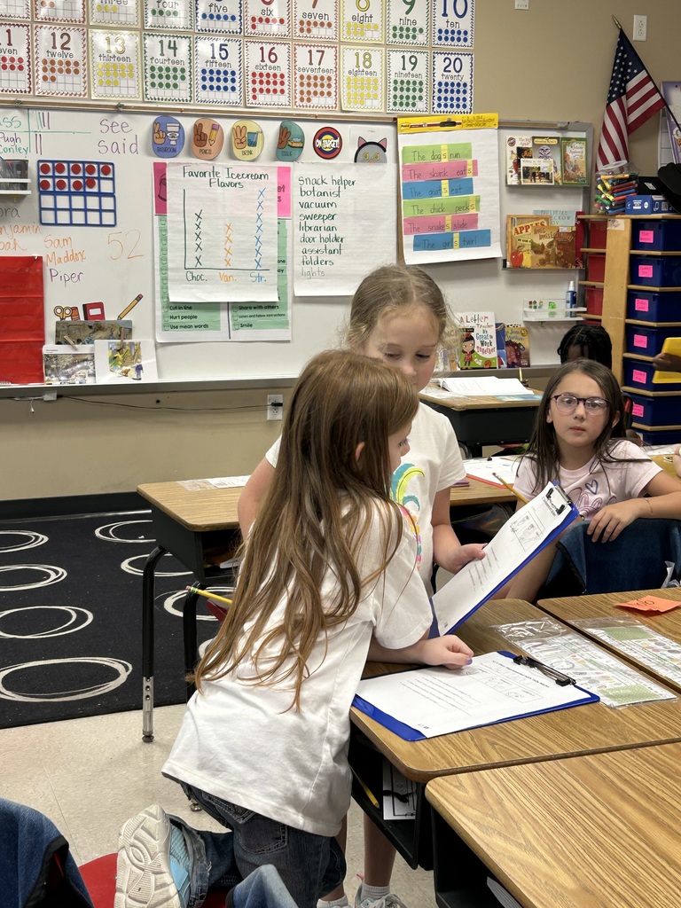 surveys in 2nd grade