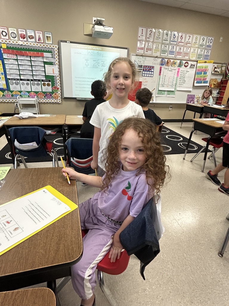 surveys in 2nd grade