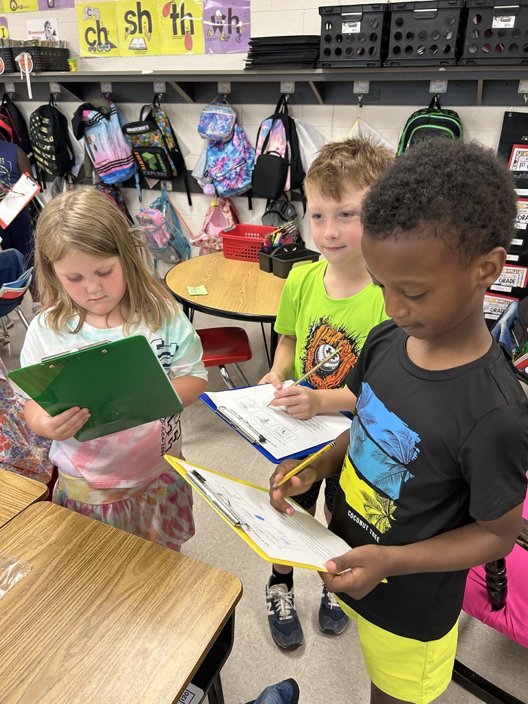 surveys in 2nd grade