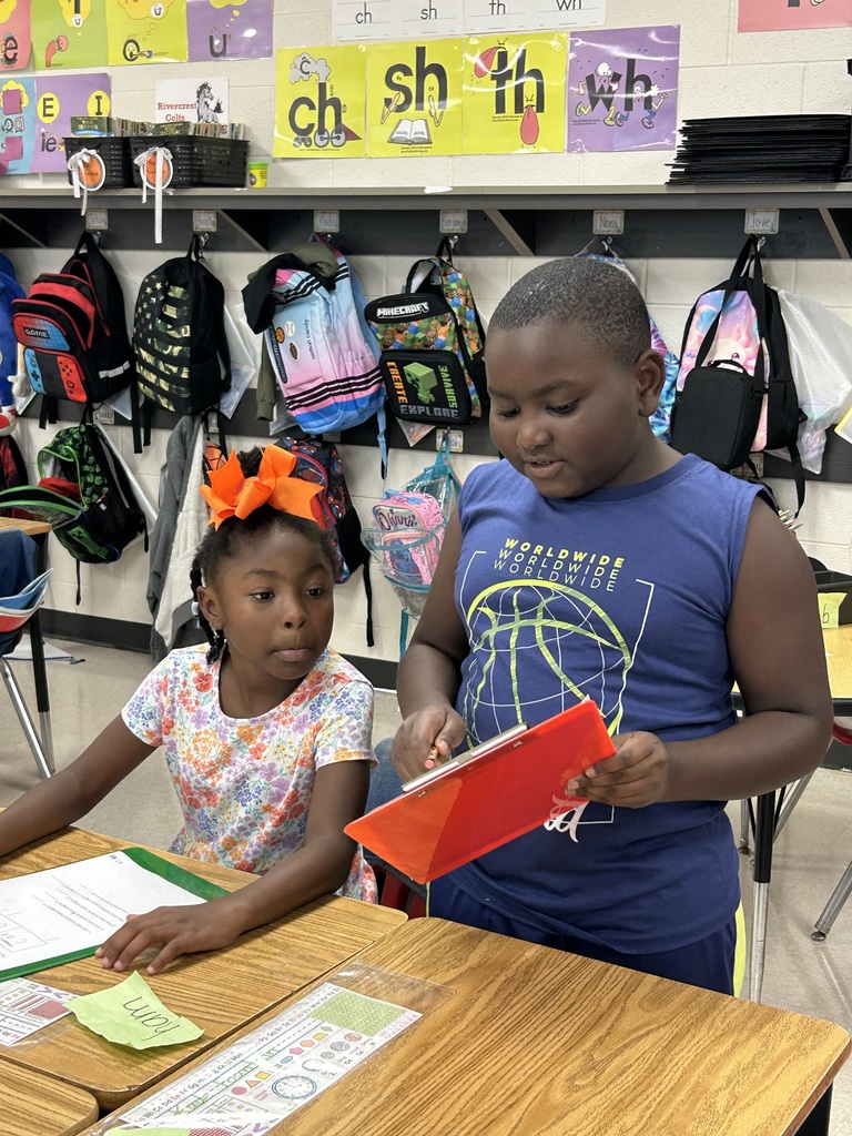 surveys in 2nd grade