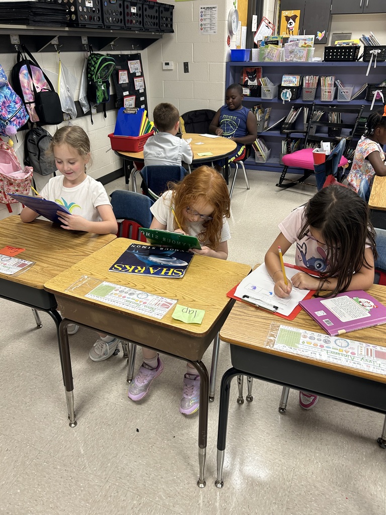 surveys in 2nd grade