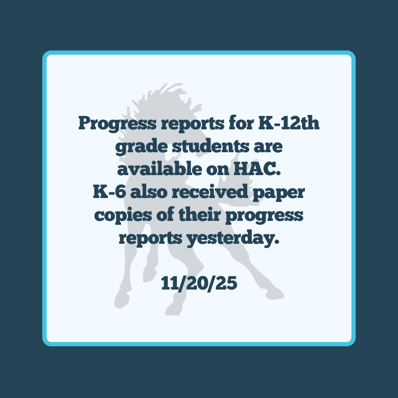 progress reports