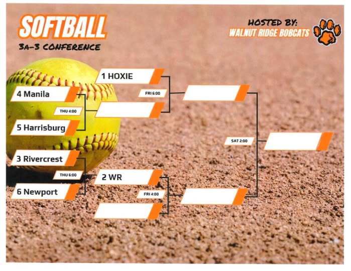 softball district tournament