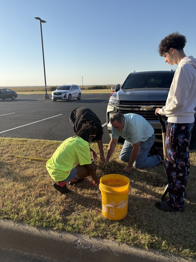 crape myrtle seedlings are dug up