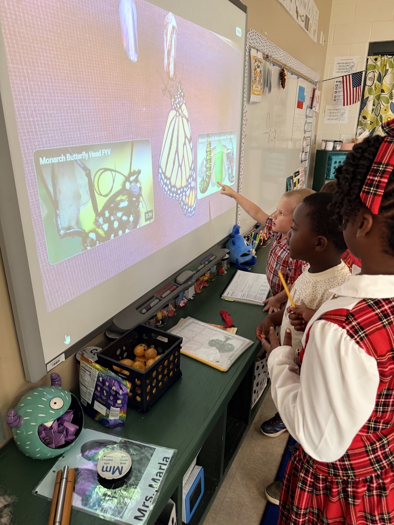 monarch butterflies in kindergarten class