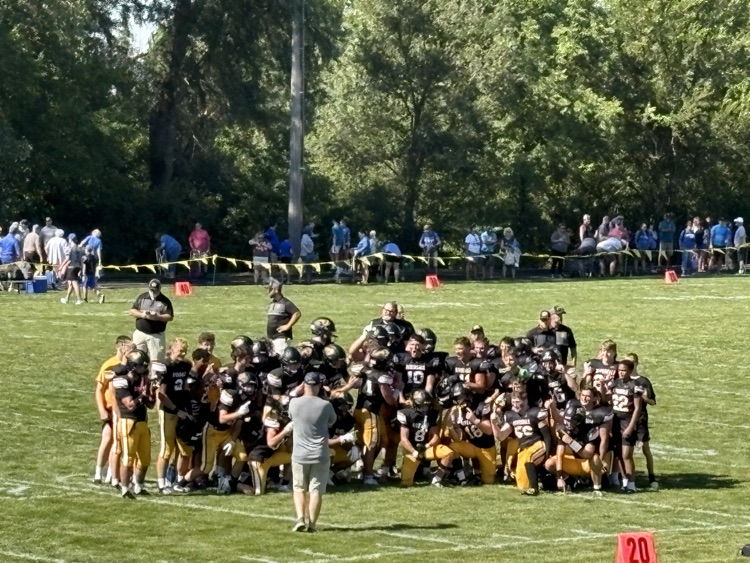 rams football