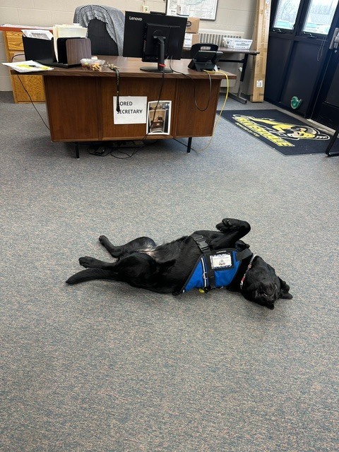 Relaxin' in Admin!