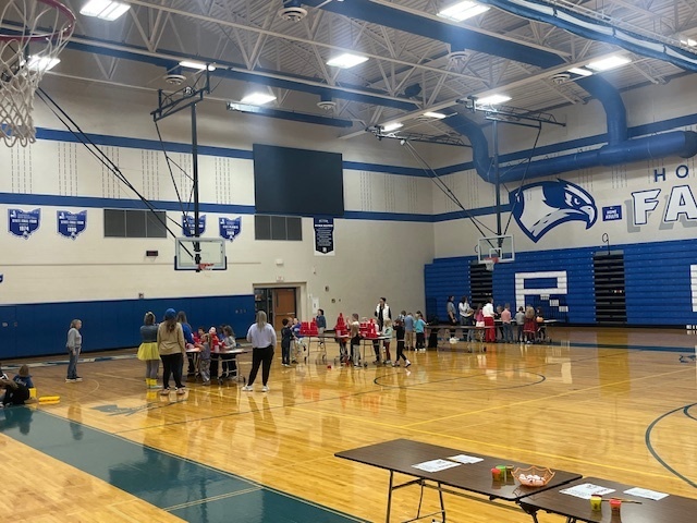 K-5 Falcon students engaging in STEM Activities in the gym