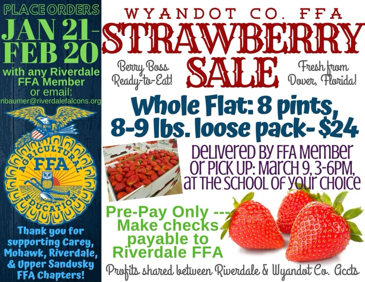 strawberry sale