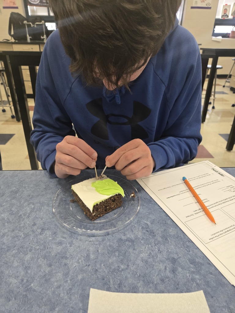 mining activity students