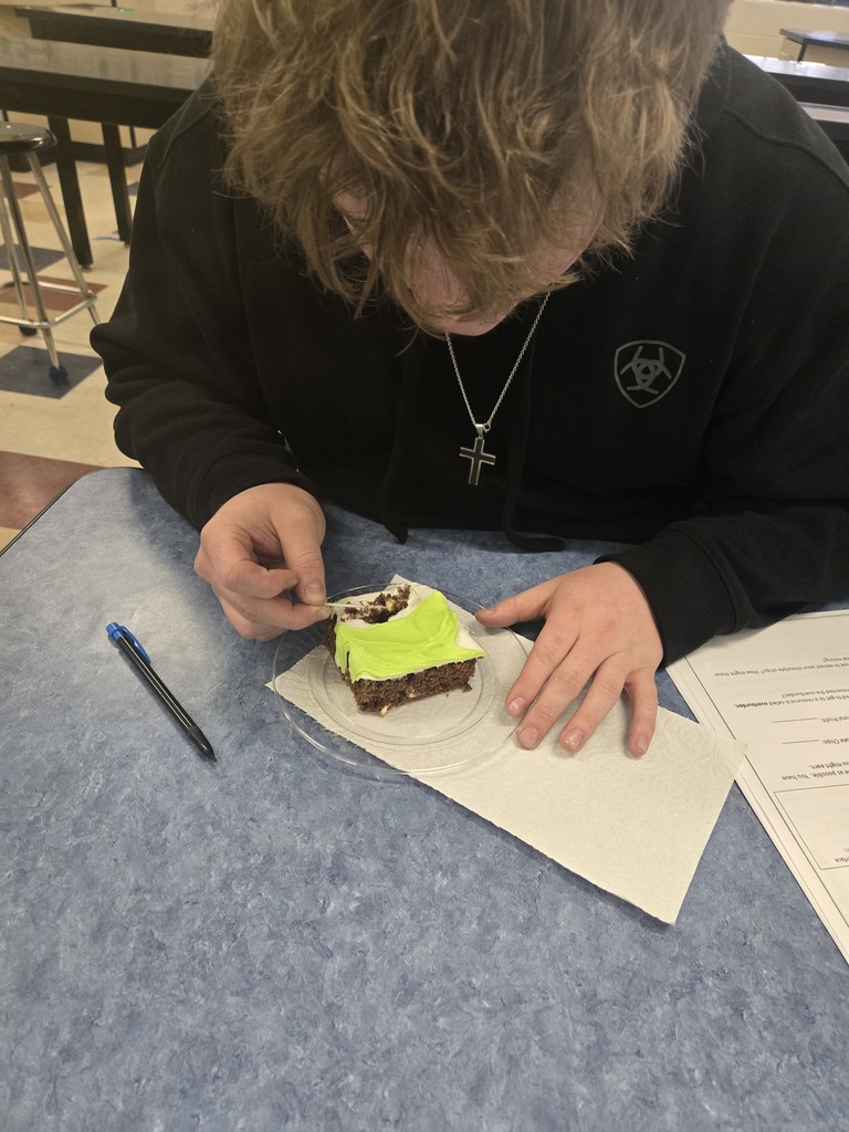 mining activity students