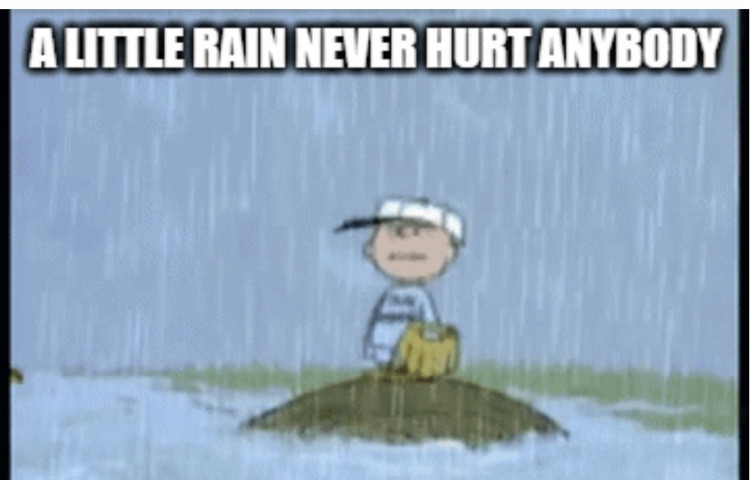 picture of Charlie Brown playing baseball in the rain