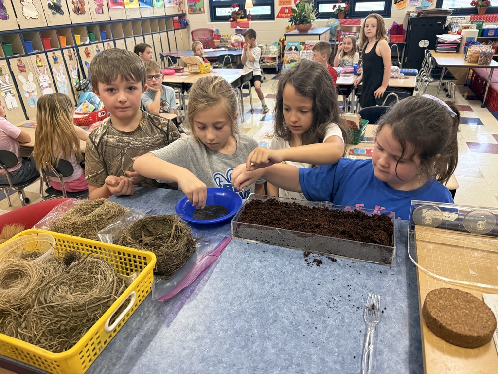 filling up their bowl with dirt