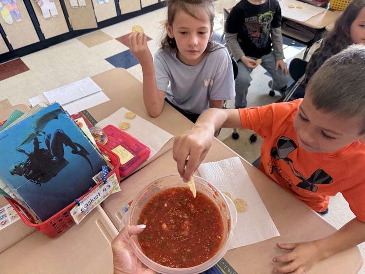 salsa