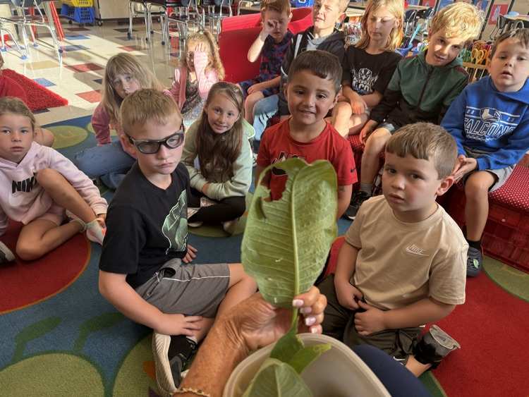kids and caterpillars