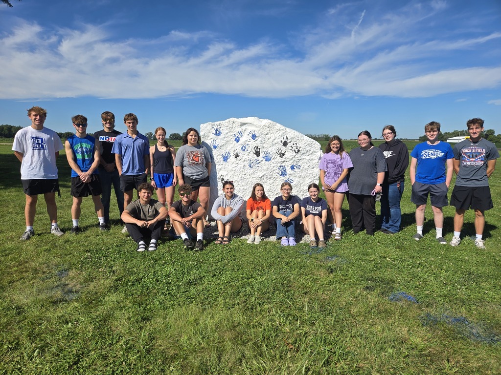 A group of seniors posting in front of the rock with their handprints